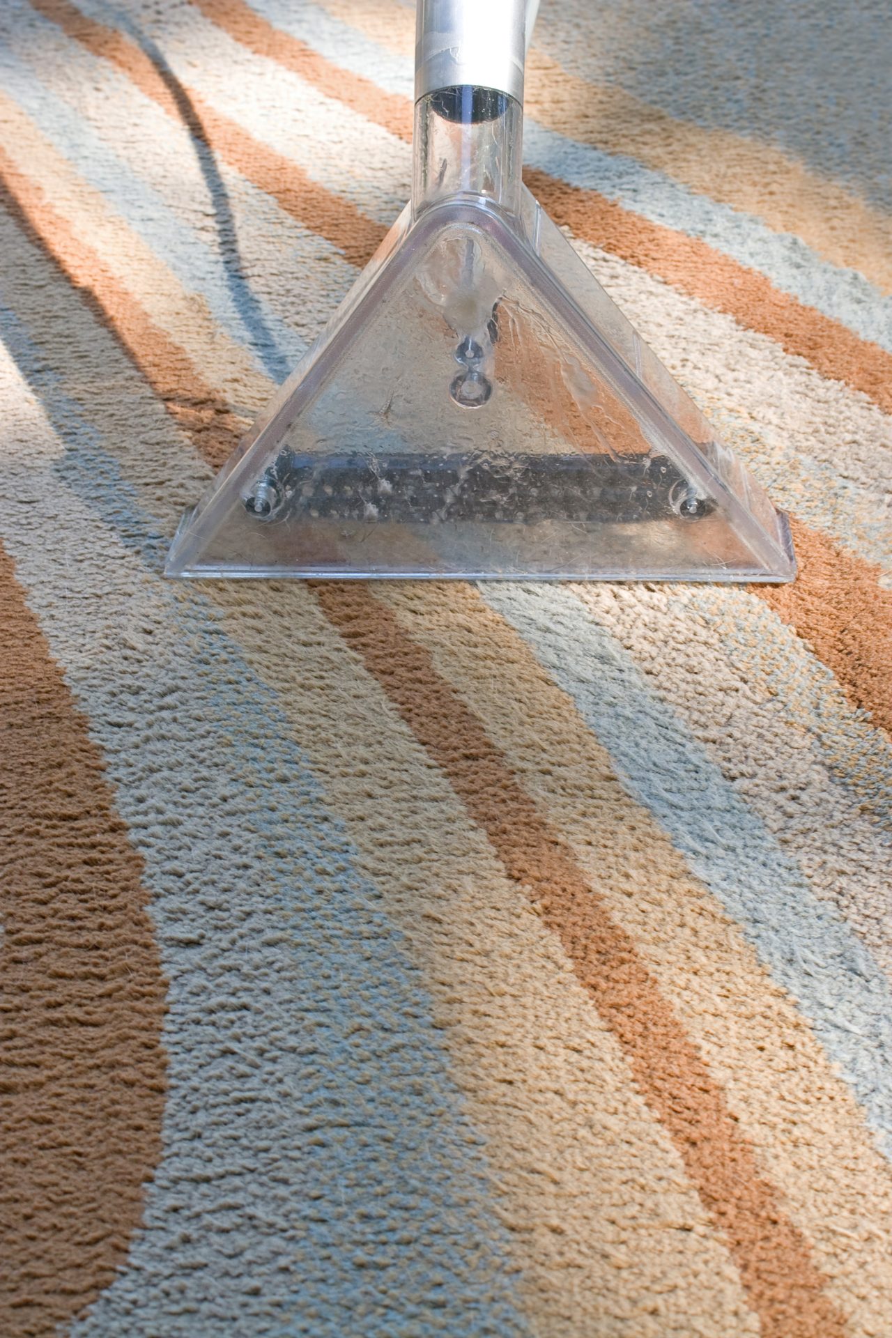 The Best Carpet Styles and Colors for Your Sioux Falls Home A Carpet Cleaner In Action On A Contemporary Rug HFjxCgKCBi Scaled