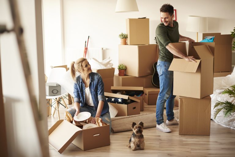 What Is Driving Flooring Trends in Sioux Falls? What You Need to Know What Is Driving Flooring Trends in Sioux Falls? What You Need to Know