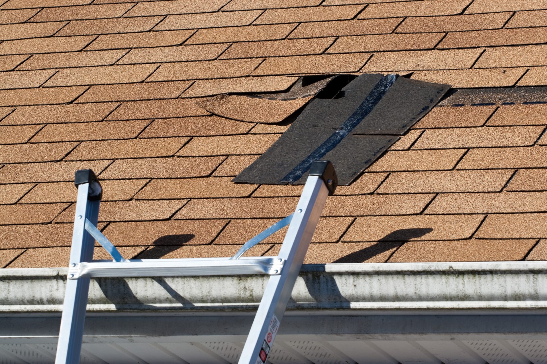 Fixing Damaged Roof Shingles A Section Was Blown Off After A Storm With High Winds Causing A Potential Leak BtagGDIASj Scaled